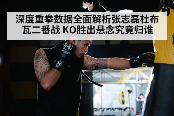 深度重拳数据全面解析张志磊杜布瓦二番战 KO胜出悬念究竟归谁